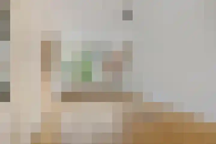 Prof. Winklerlaan 7 Castricum thumbnail 6