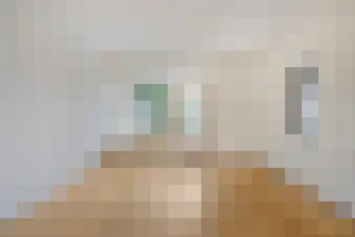 Prof. Winklerlaan 7 Castricum thumbnail 8