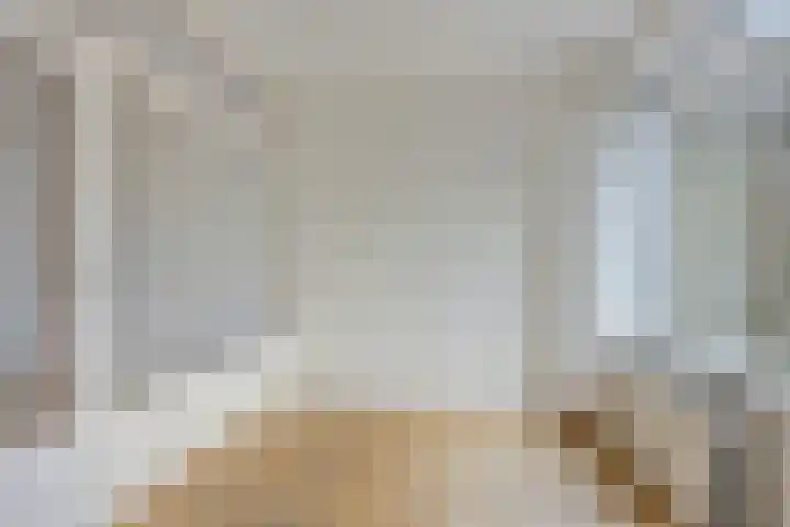 Prof. Winklerlaan 7 Castricum thumbnail 9