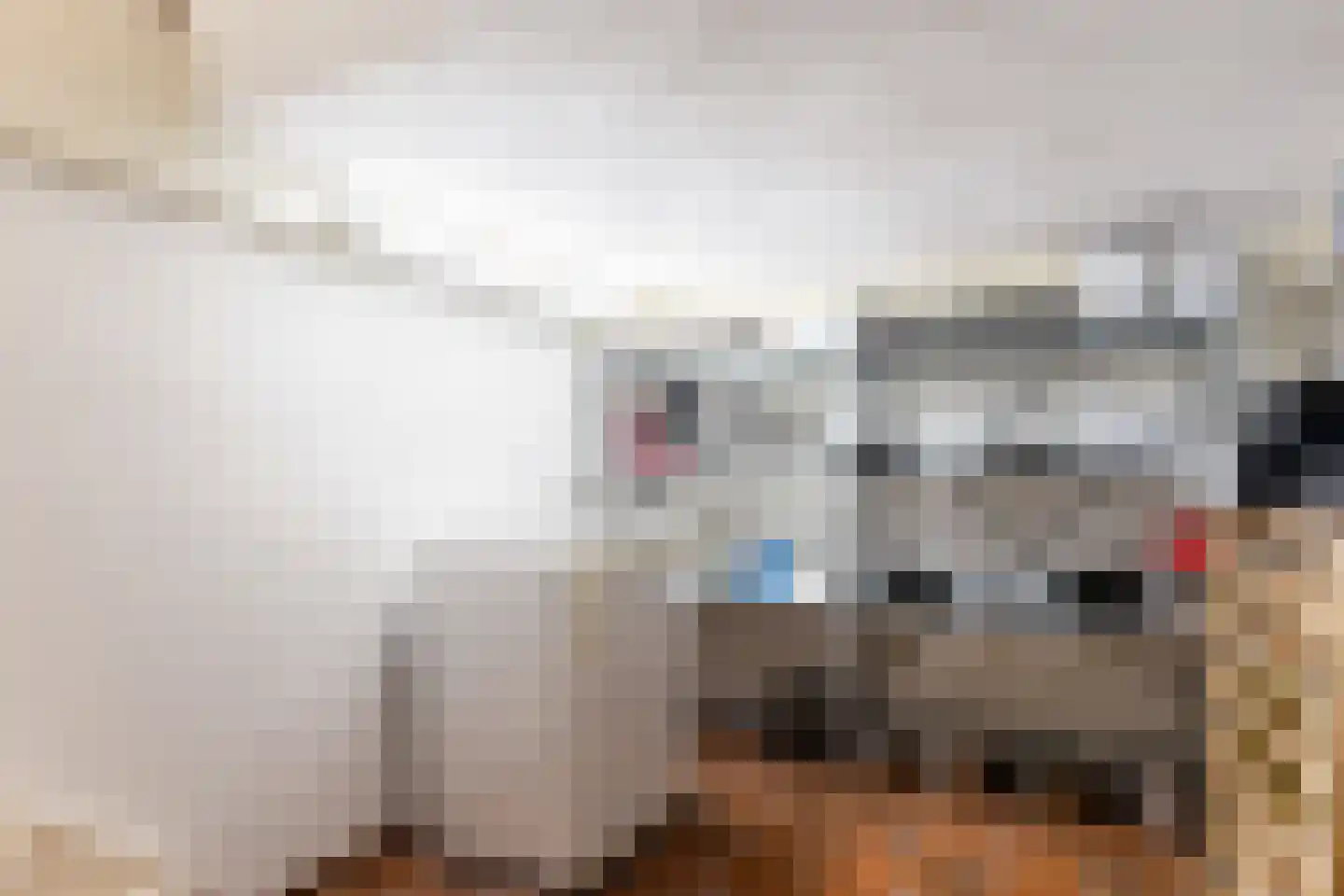 Prof. Winternitzlaan 8 Laag-Soeren thumbnail 29