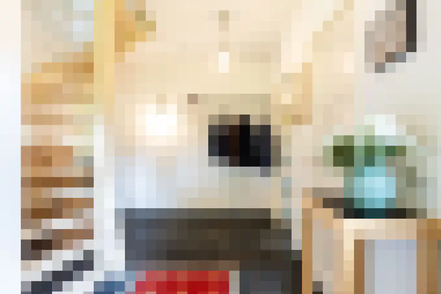 Prof. Winternitzlaan 8 Laag-Soeren thumbnail 36