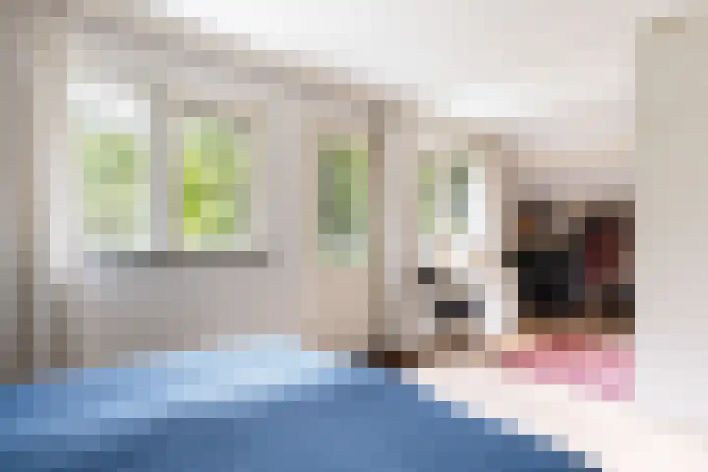 Prof. Winternitzlaan 8 Laag-Soeren thumbnail 38