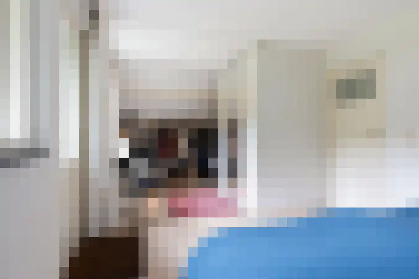 Prof. Winternitzlaan 8 Laag-Soeren thumbnail 41