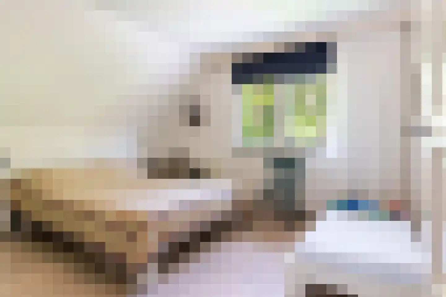 Prof. Winternitzlaan 8 Laag-Soeren thumbnail 43