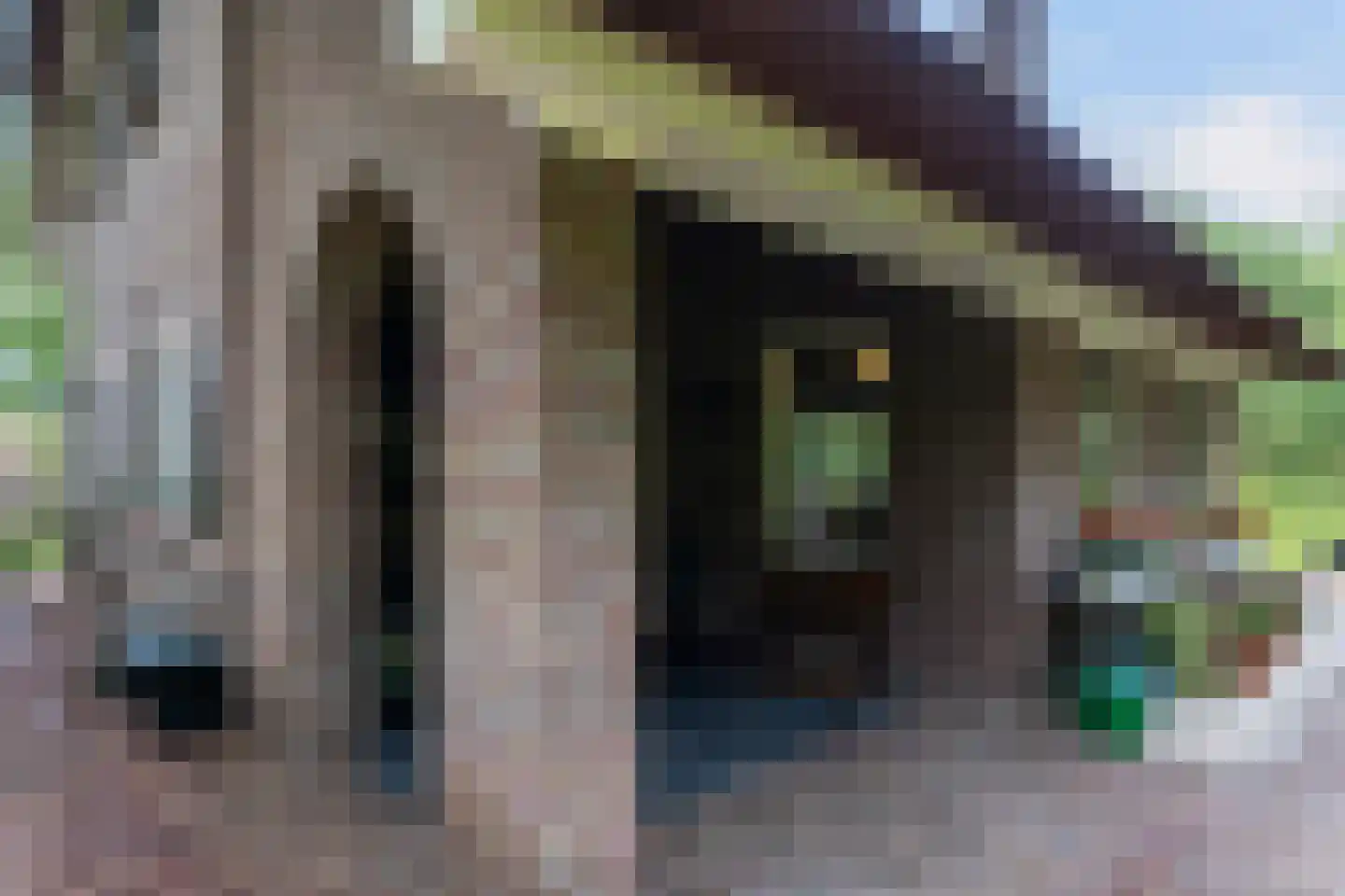 Prof. Winternitzlaan 8 Laag-Soeren thumbnail 50