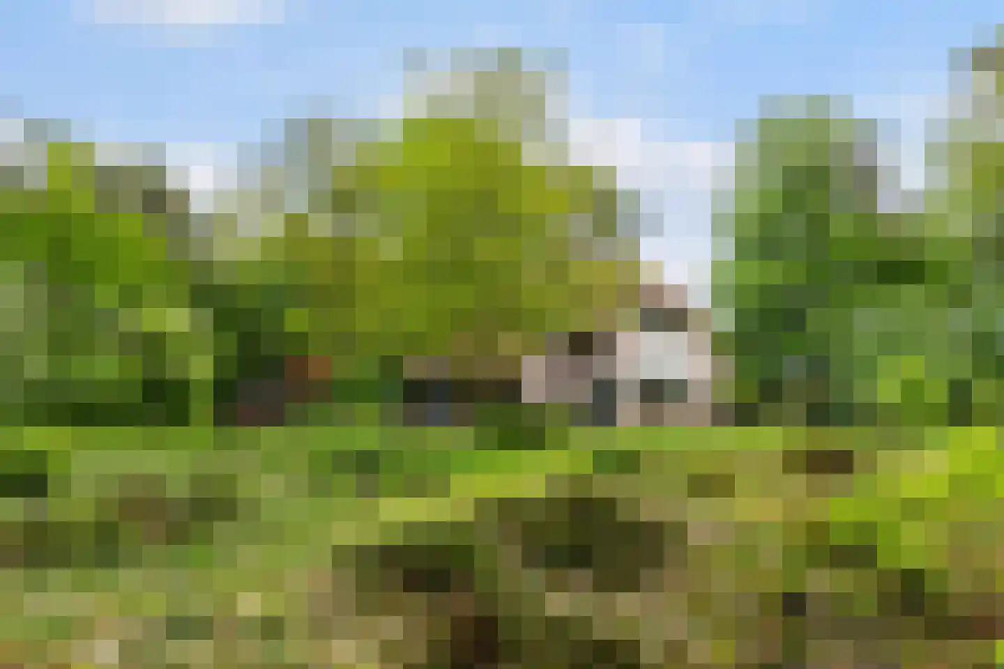 Prof. Winternitzlaan 8 Laag-Soeren thumbnail 55