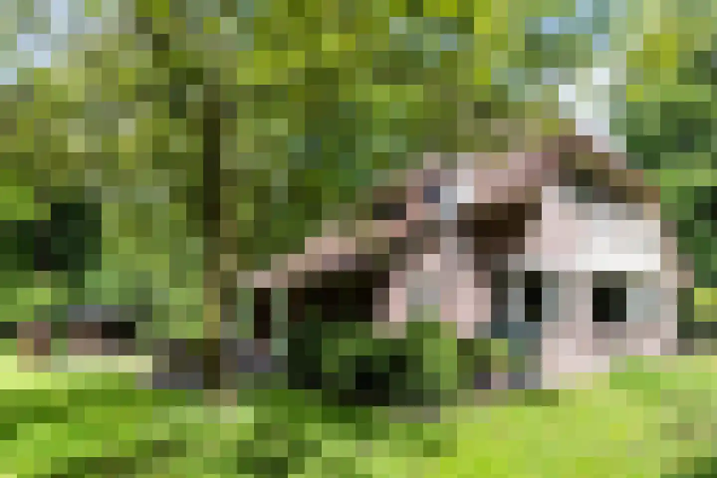 Prof. Winternitzlaan 8 Laag-Soeren thumbnail 57