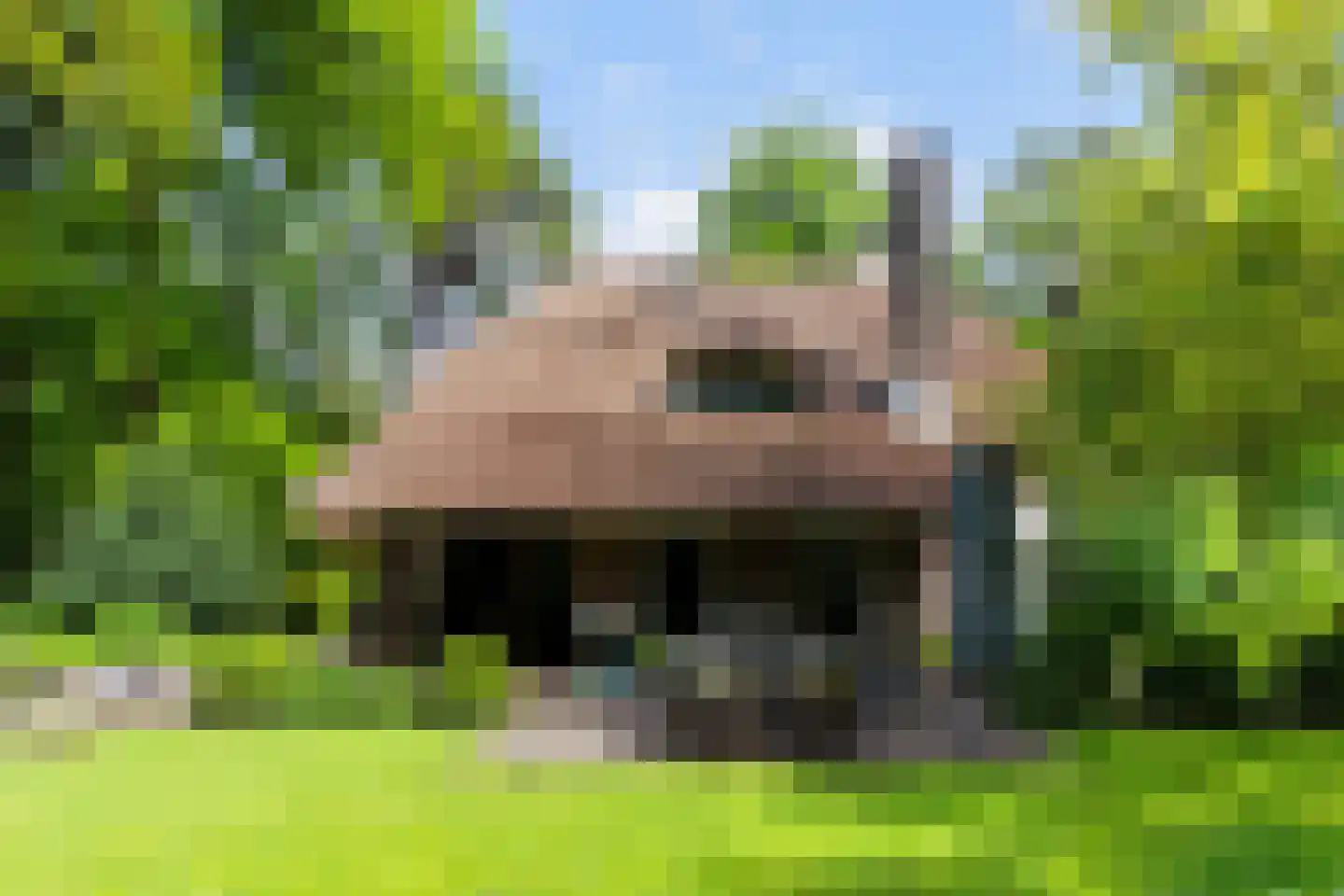 Prof. Winternitzlaan 8 Laag-Soeren thumbnail 59