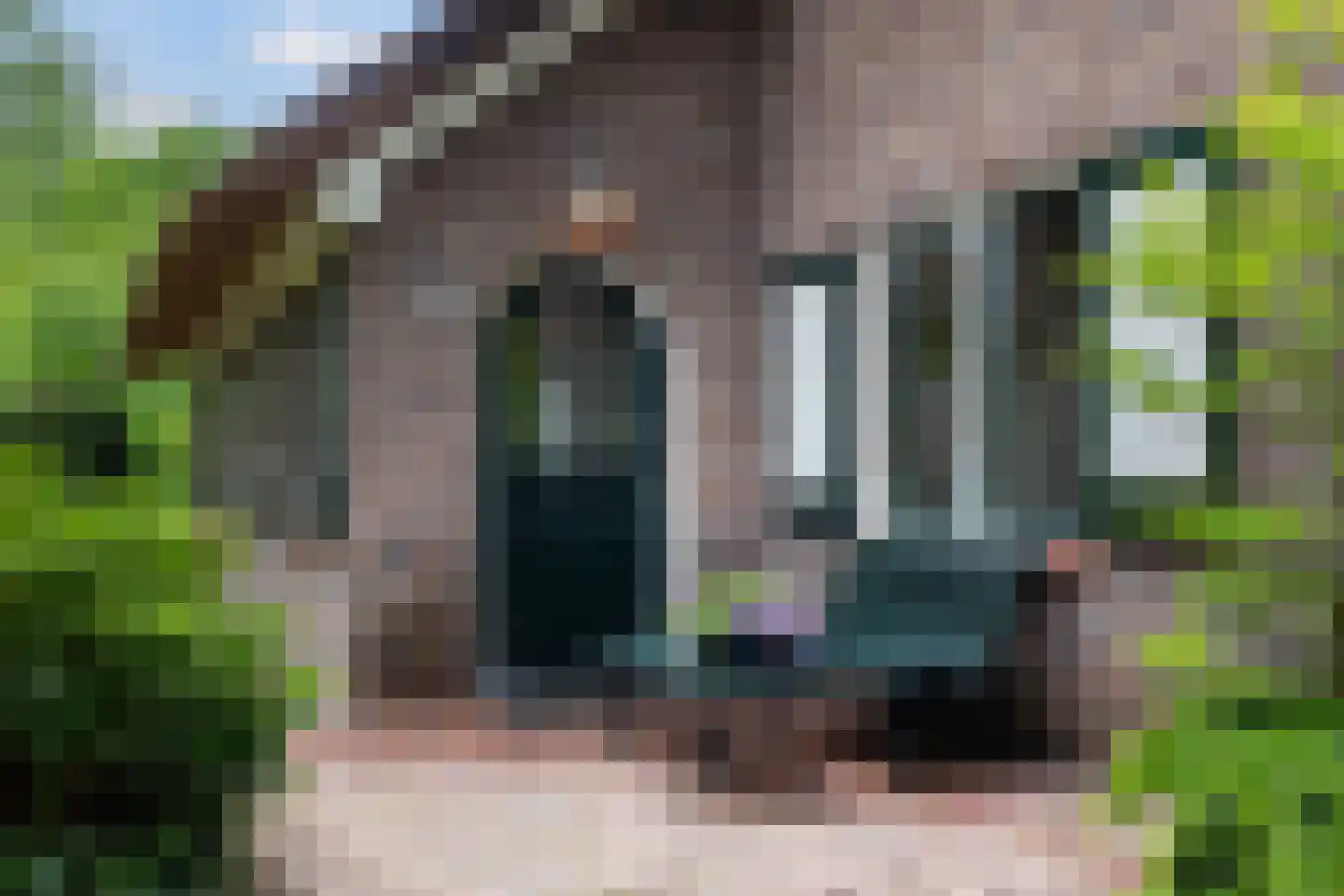 Prof. Winternitzlaan 8 Laag-Soeren thumbnail 6