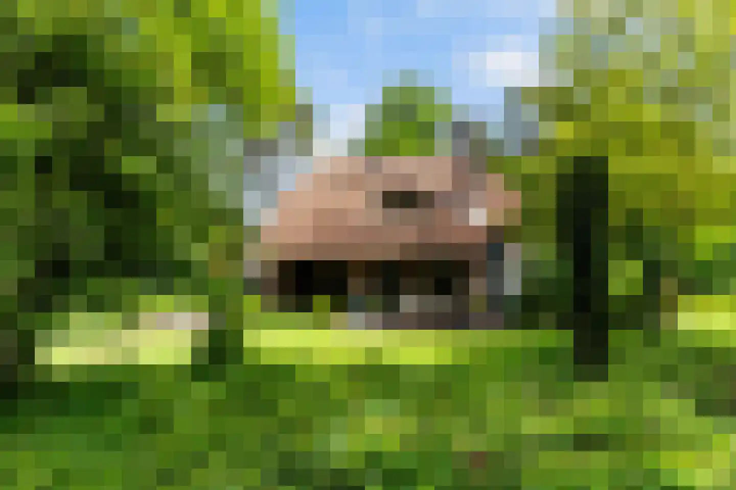 Prof. Winternitzlaan 8 Laag-Soeren thumbnail 60