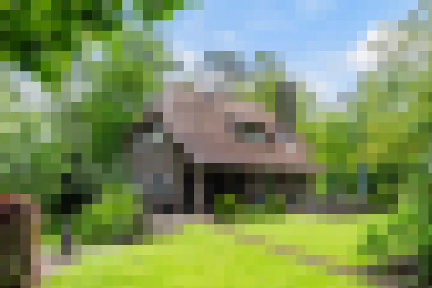 Prof. Winternitzlaan 8 Laag-Soeren thumbnail 65
