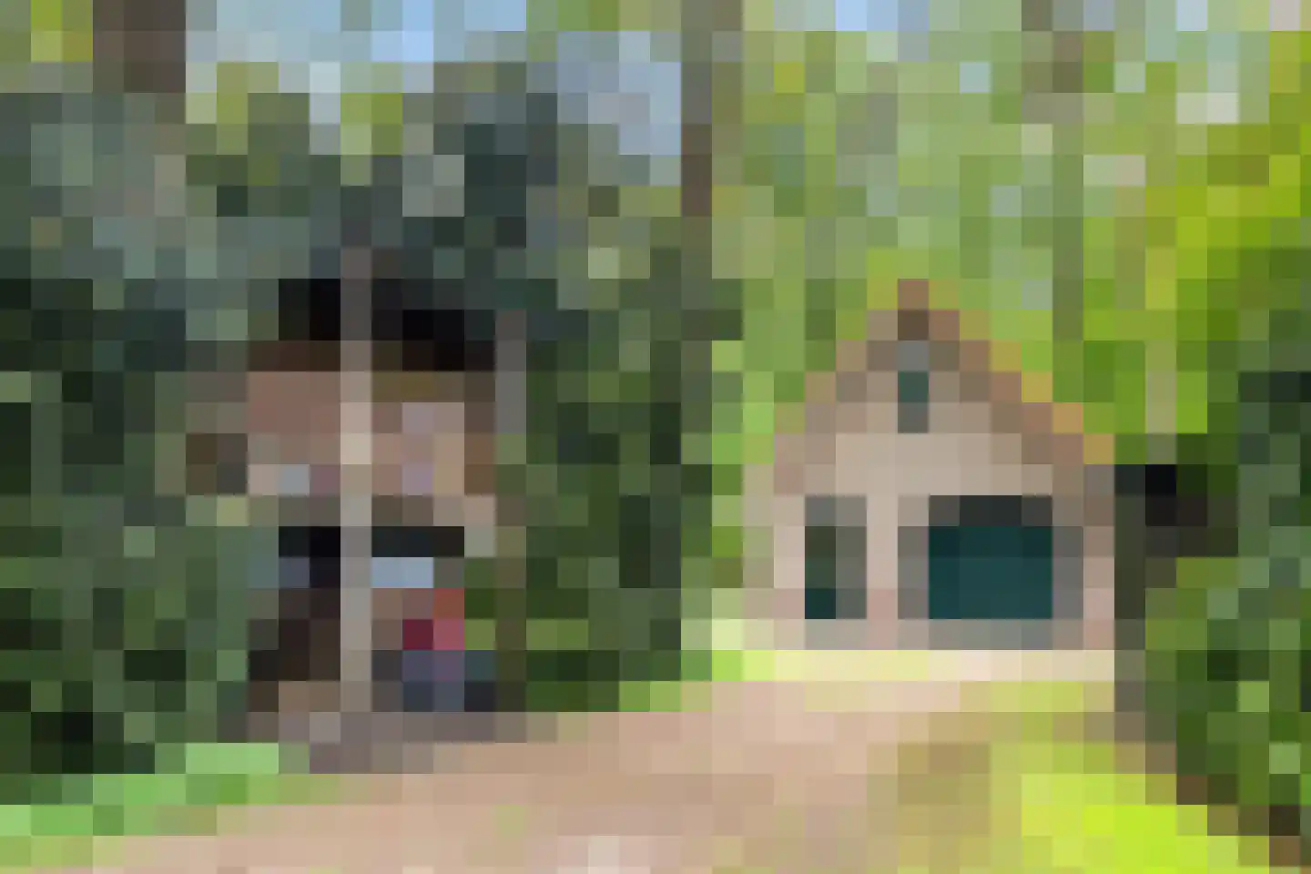 Prof. Winternitzlaan 8 Laag-Soeren thumbnail 67