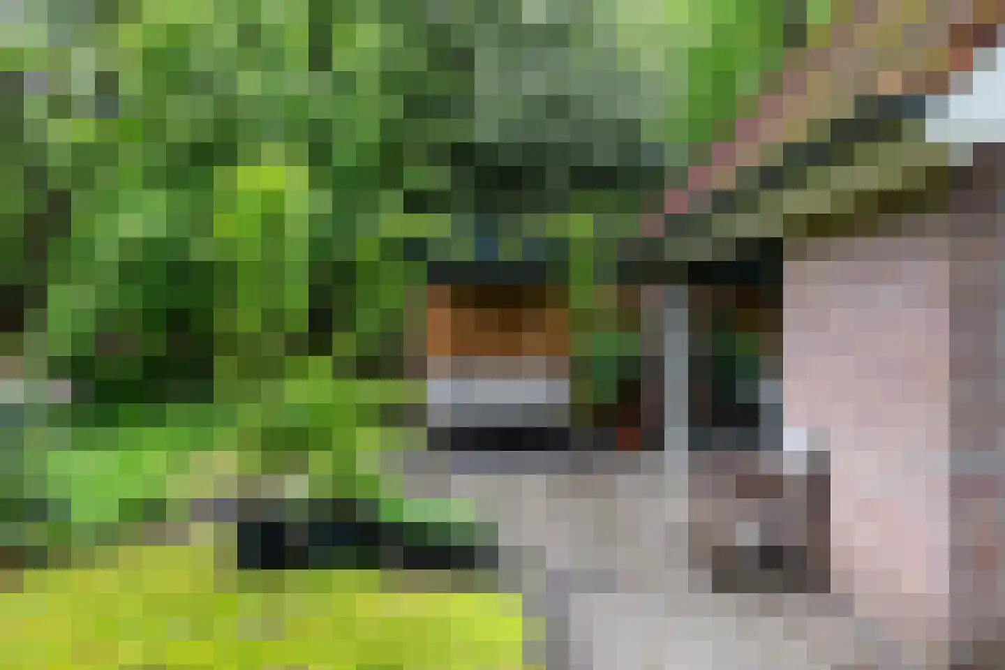 Prof. Winternitzlaan 8 Laag-Soeren thumbnail 70