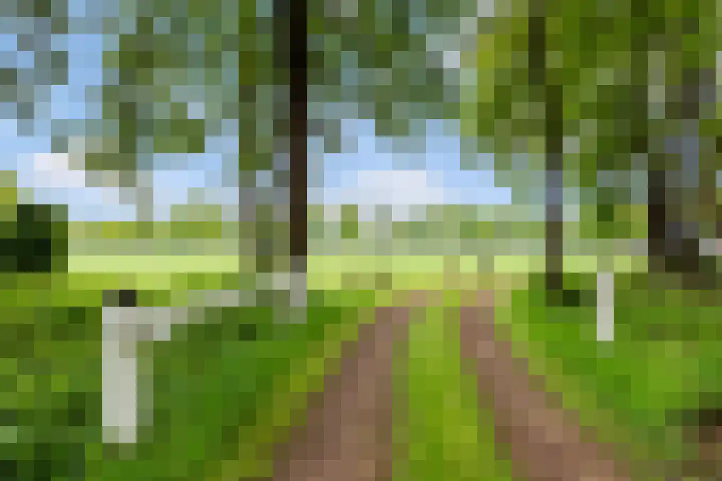 Prof. Winternitzlaan 8 Laag-Soeren thumbnail 80