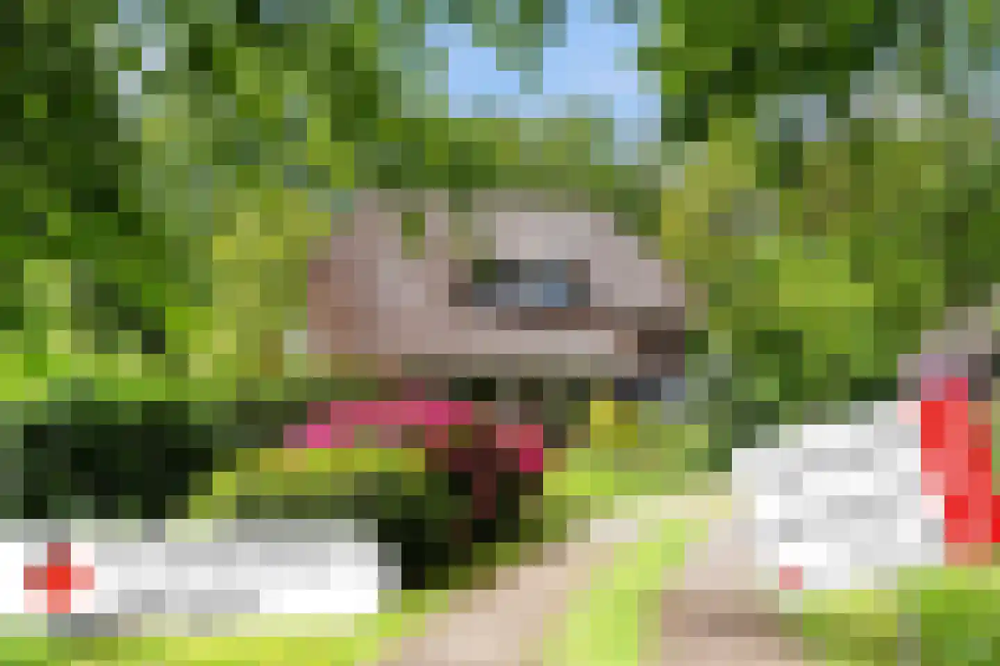 Prof. Winternitzlaan 8 Laag-Soeren thumbnail 83