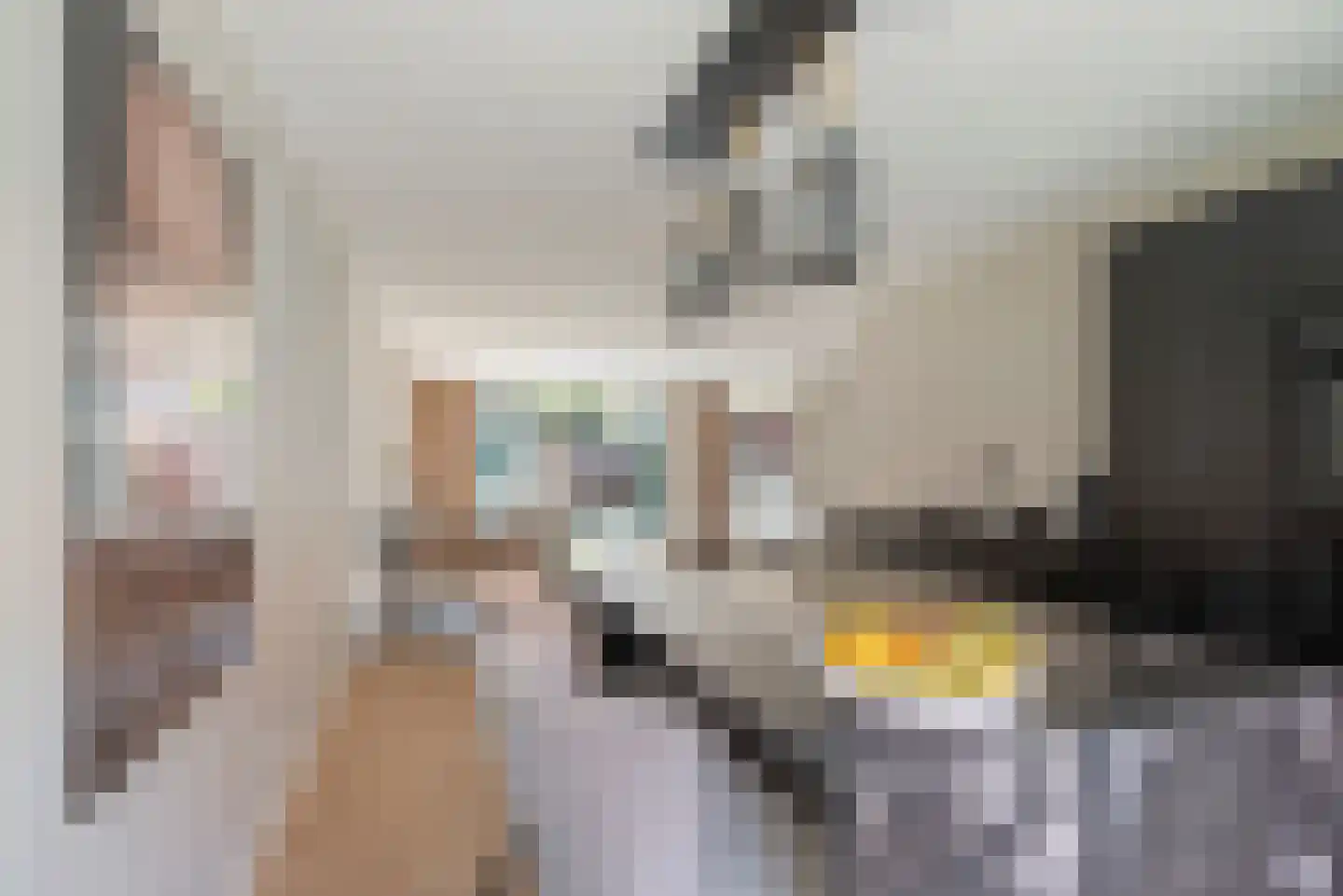 Prof. Zeemanstraat 21 Den Helder thumbnail 15