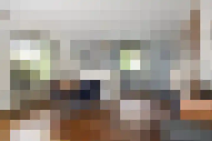 Prof. Zeemanstraat 3 Geleen thumbnail 12