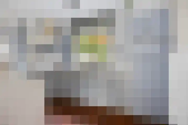 Prof. Zeemanstraat 3 Geleen thumbnail 13