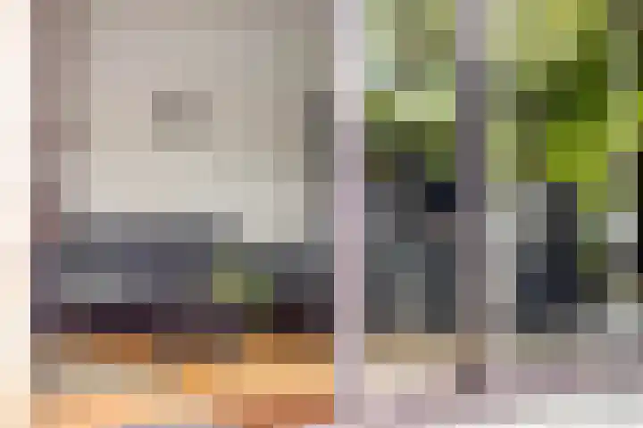 Prof. Zeemanstraat 3 Geleen thumbnail 15