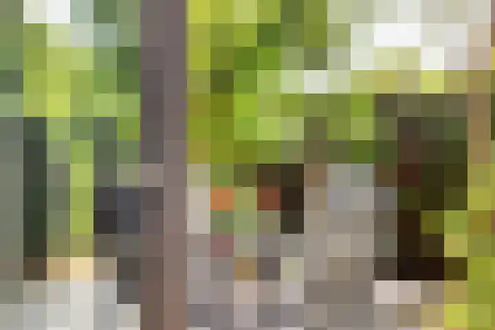 Prof. Zeemanstraat 3 Geleen thumbnail 16