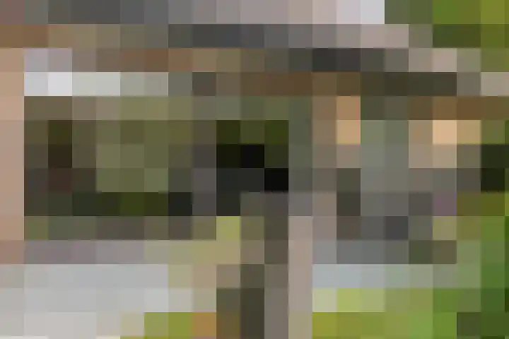 Prof. Zeemanstraat 3 Geleen thumbnail 17