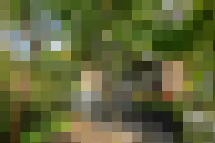 Prof. Zeemanstraat 3 Geleen thumbnail 21
