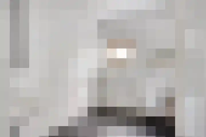 Prof. Zeemanstraat 3 Geleen thumbnail 26