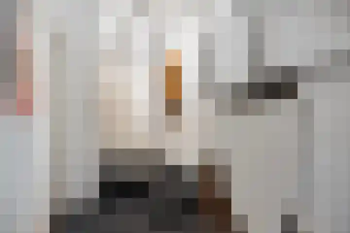 Prof. Zeemanstraat 3 Geleen thumbnail 30