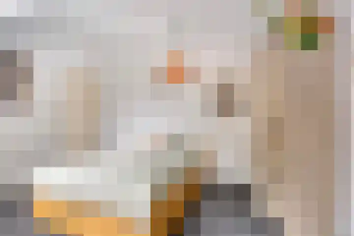 Prof. Zeemanstraat 3 Geleen thumbnail 33
