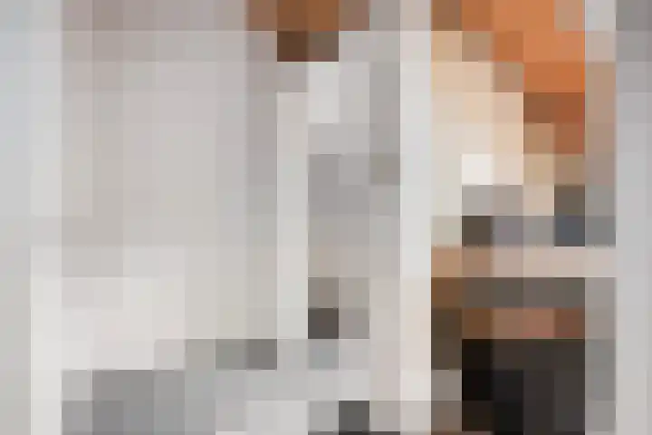 Prof. Zeemanstraat 3 Geleen thumbnail 35