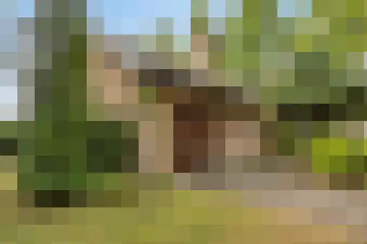 Prof. Zeemanstraat 3 Geleen thumbnail 40