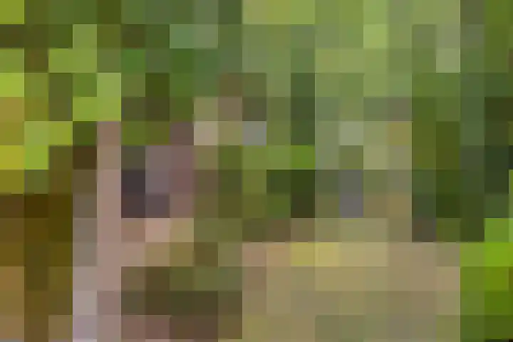 Prof. Zeemanstraat 3 Geleen thumbnail 41