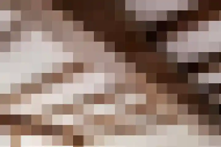 Prof. Zeemanstraat 3 Geleen thumbnail 8