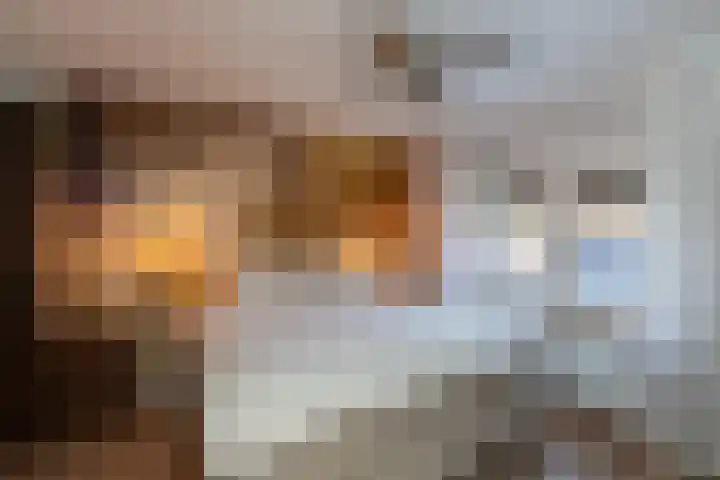 Prof. Zeemanweg 66 Sliedrecht thumbnail 11