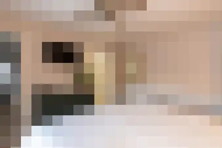 Prof. Zeemanweg 66 Sliedrecht thumbnail 12