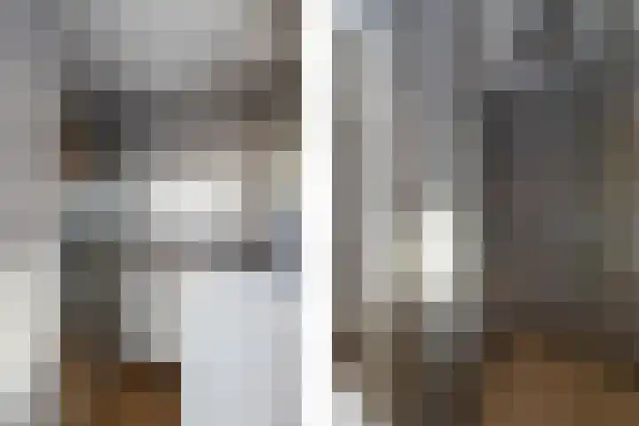 Prof. Zeemanweg 66 Sliedrecht thumbnail 14