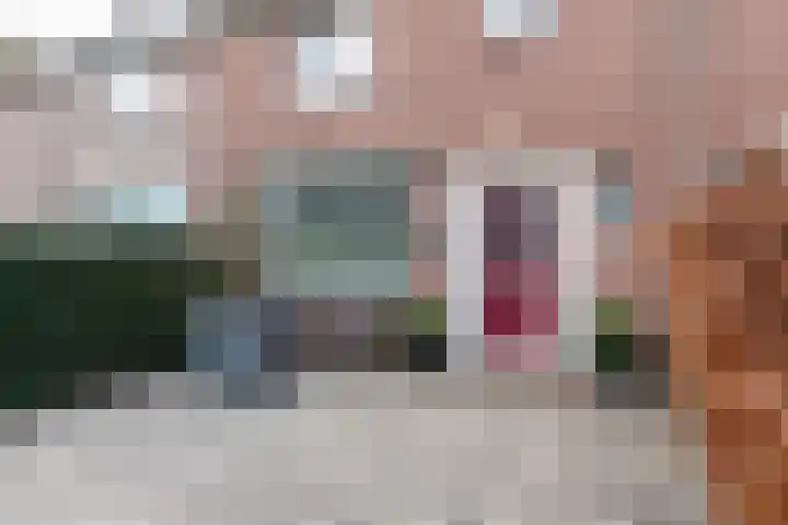 Prof. Zeemanweg 66 Sliedrecht thumbnail 5