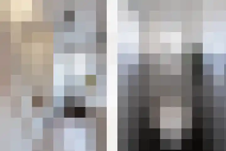 Prof. Zeemanweg 66 Sliedrecht thumbnail 6