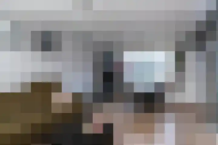Prof. Zeemanweg 66 Sliedrecht thumbnail 8