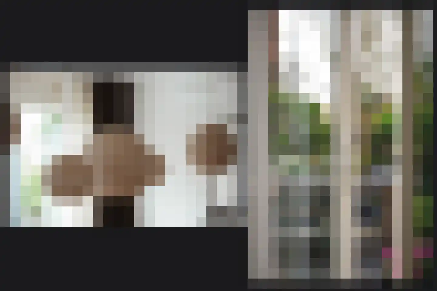 Prof. Zonnebloemlaan 14 Utrecht thumbnail 11