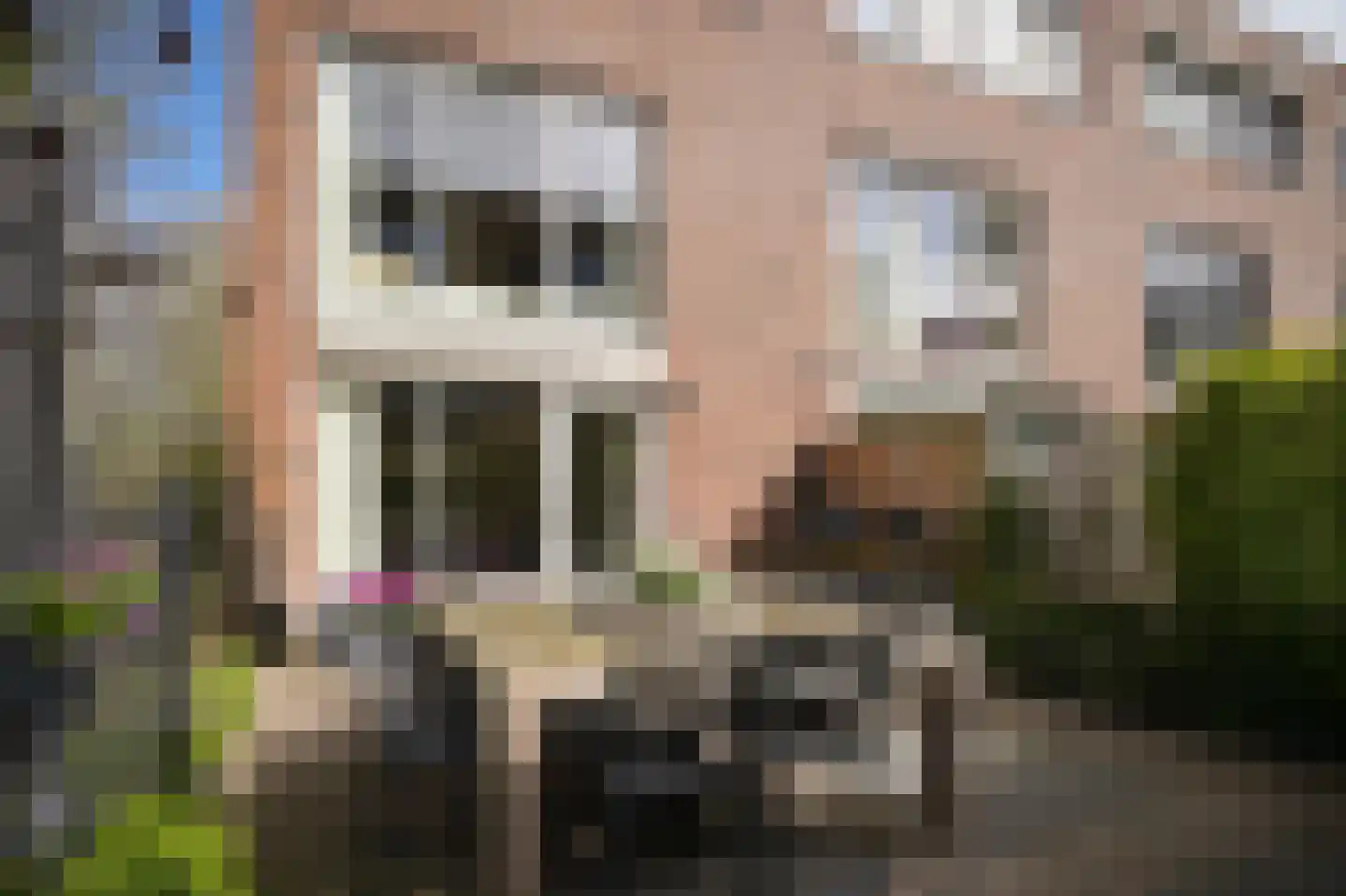 Prof. Zonnebloemlaan 14 Utrecht thumbnail 41