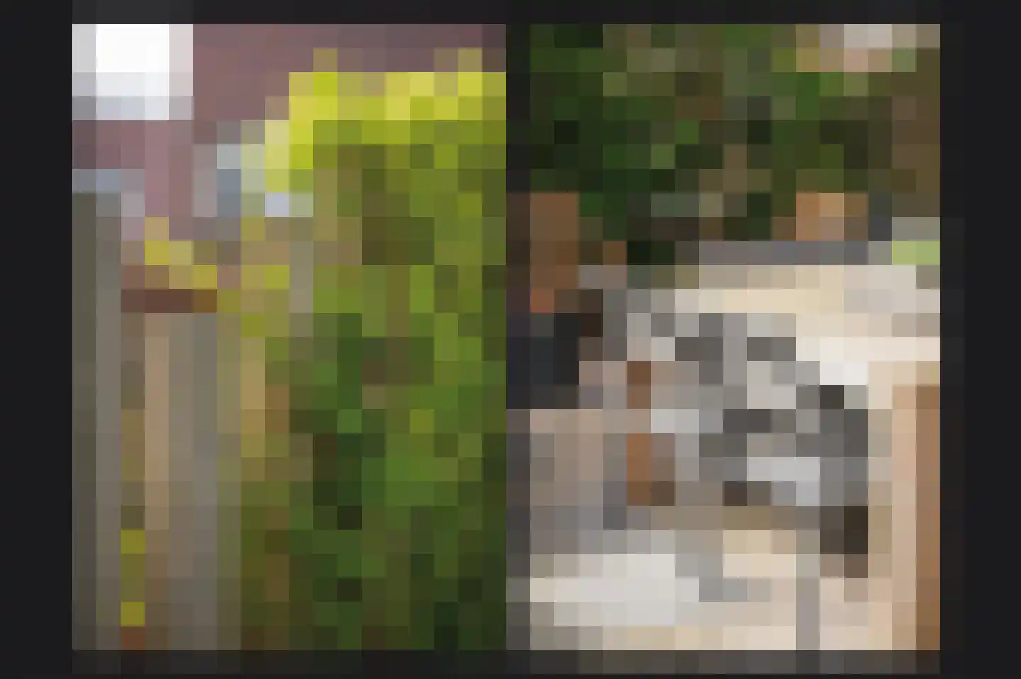 Prof. Zonnebloemlaan 14 Utrecht thumbnail 42