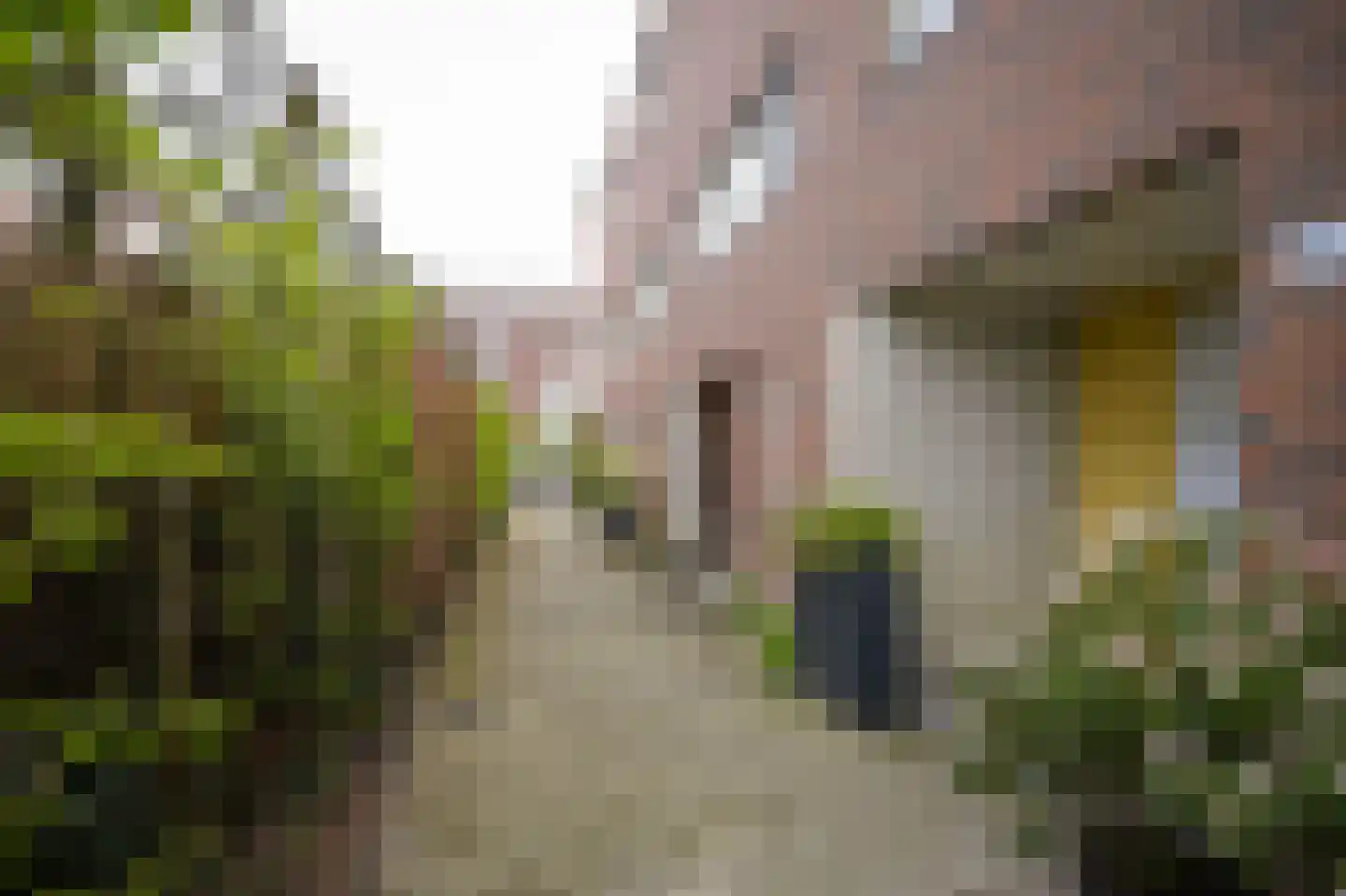 Prof. Zonnebloemlaan 14 Utrecht thumbnail 45