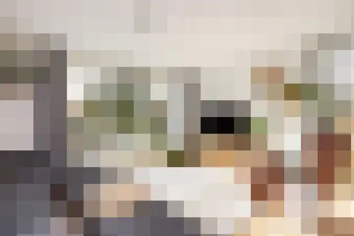 Prof. Zonnebloemlaan 17 Utrecht thumbnail 22