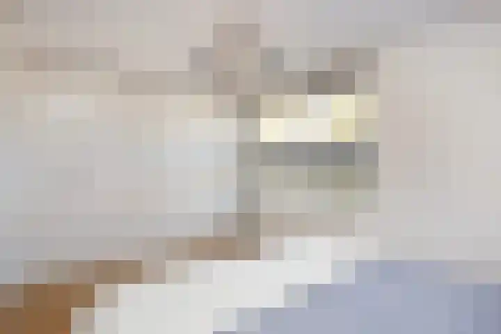 Prof. Zonnebloemlaan 17 Utrecht thumbnail 27