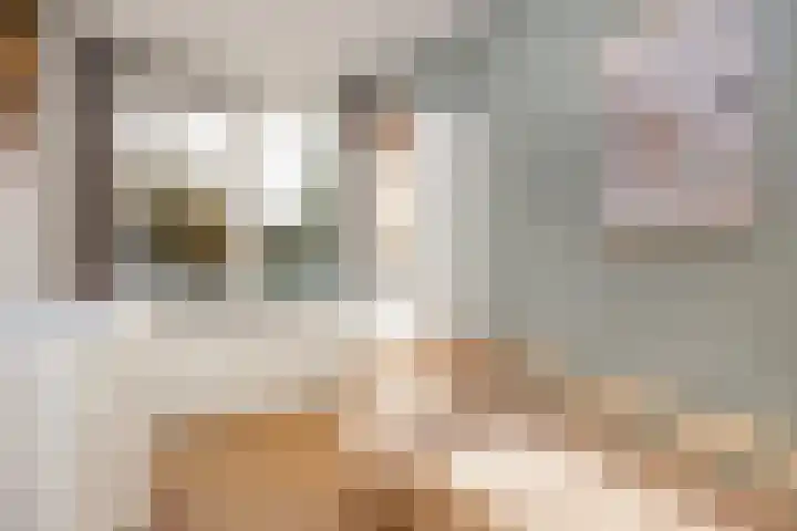 Prof. Zonnebloemlaan 17 Utrecht thumbnail 33