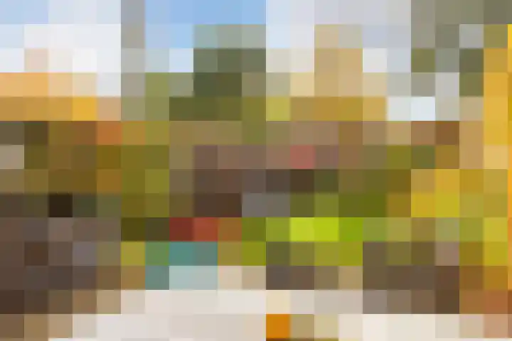 Prof. Zonnebloemlaan 17 Utrecht thumbnail 36