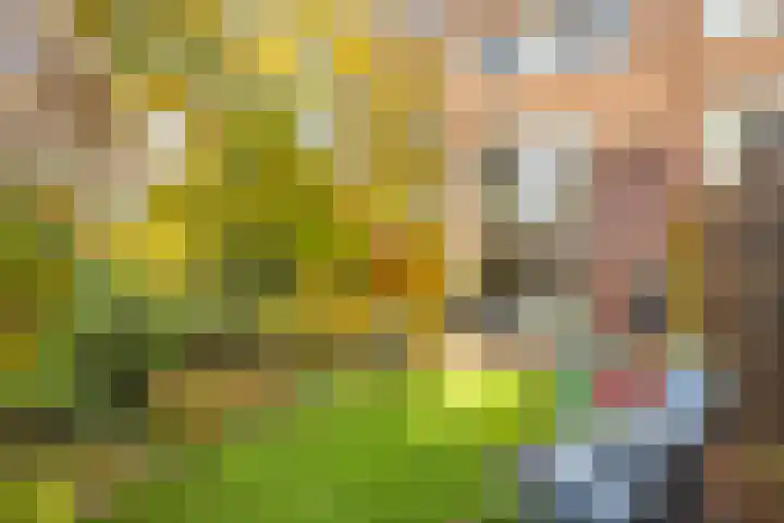 Prof. Zonnebloemlaan 17 Utrecht thumbnail 37