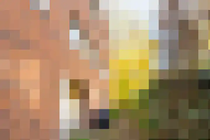 Prof. Zonnebloemlaan 17 Utrecht thumbnail 39