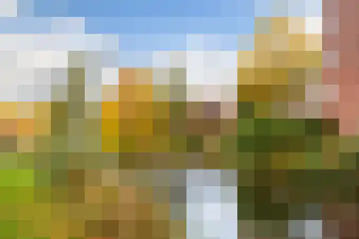 Prof. Zonnebloemlaan 17 Utrecht thumbnail 40